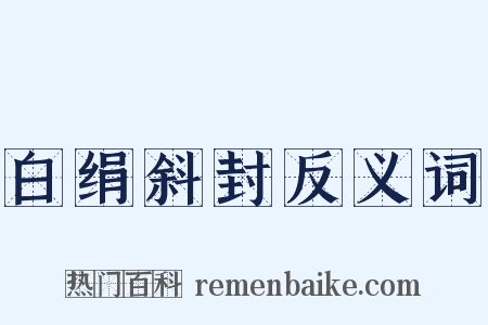 白绢斜封反义词是什么意思的图片